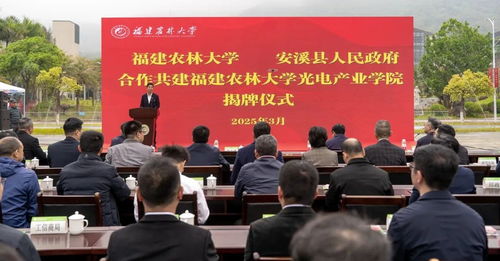 安溪新闻网 福建省泉州市安溪县新闻中心 闽南网