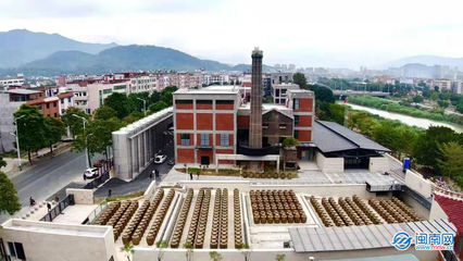 强产兴城丨永春老醋:政府搭台 谋求蝶变