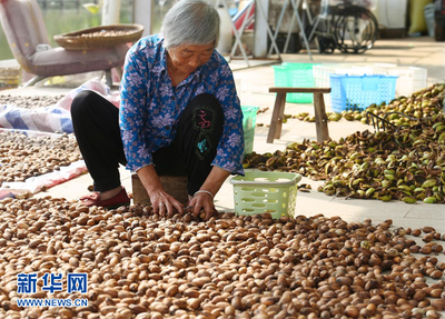 乡村振兴在行动|江苏淮安:“三色”融合,绘就乡村振兴新画卷